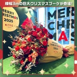 クリスマスフォトスポット